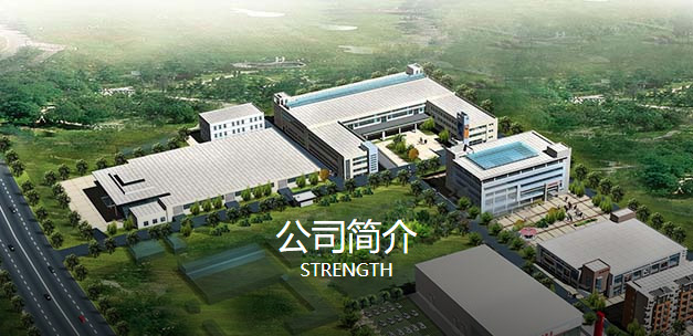 公司简介